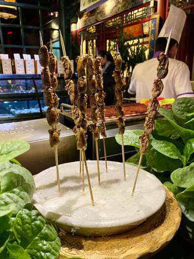 Large insects on skewers