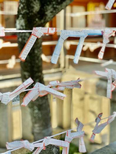 Discarded oracle messages tied to a nearby fence