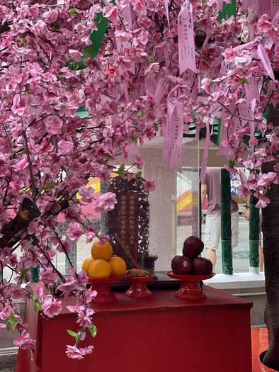 A pink tree covers a shrine in the courtyard of Man Mo Temple