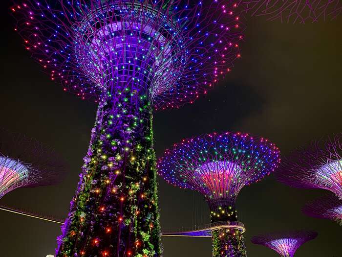 Supertrees lit up in rainbow colours